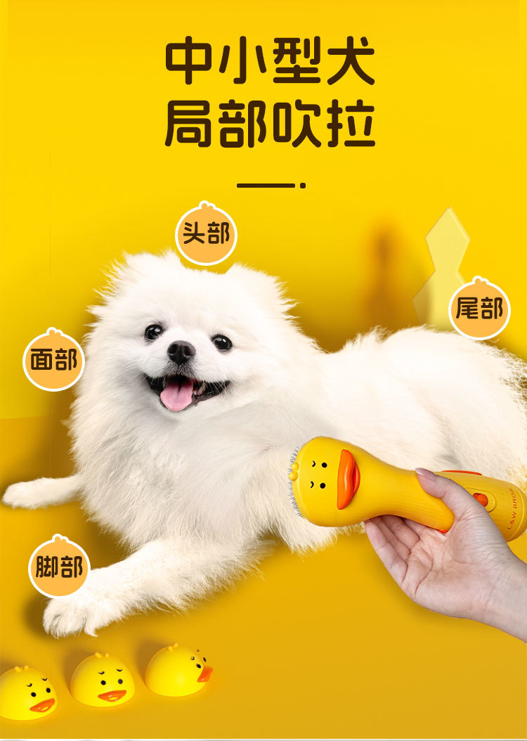 5b55d713-d159-4fc8-8ee2-87010d532759.jpe