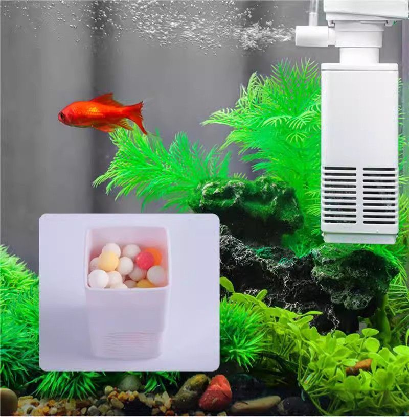 8bbd1049-304c-4832-ba18-a8bb25781924.jpe