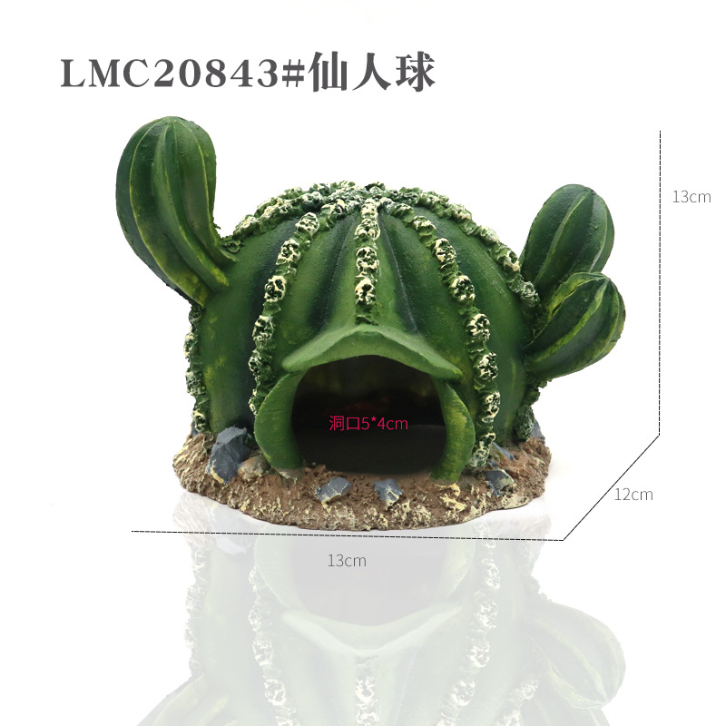 LMC20843#仙人球