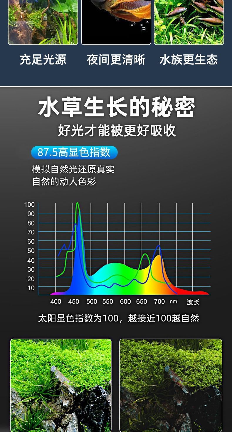 9bd851e8-a21f-4344-ba56-c801ed80949e.jpe