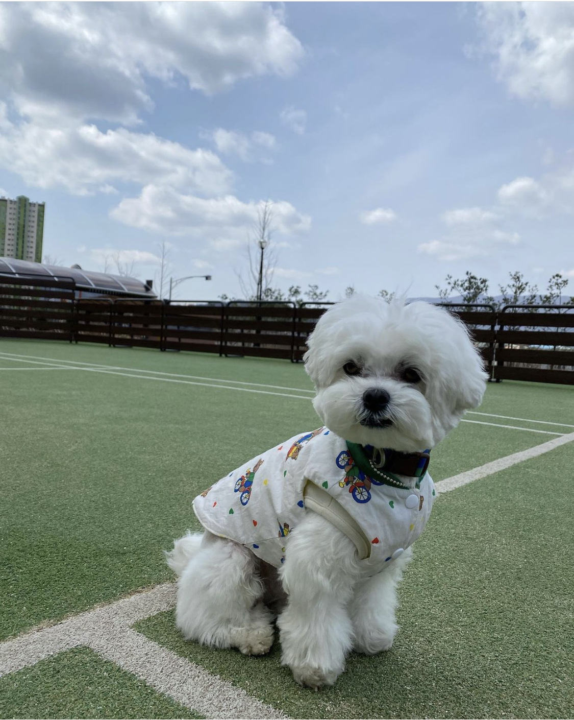 微信图片_20220821193537.jpg