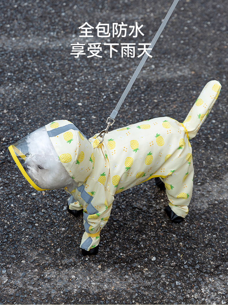436deb5b-85fb-4d90-9b75-f237d190e0da.jpe
