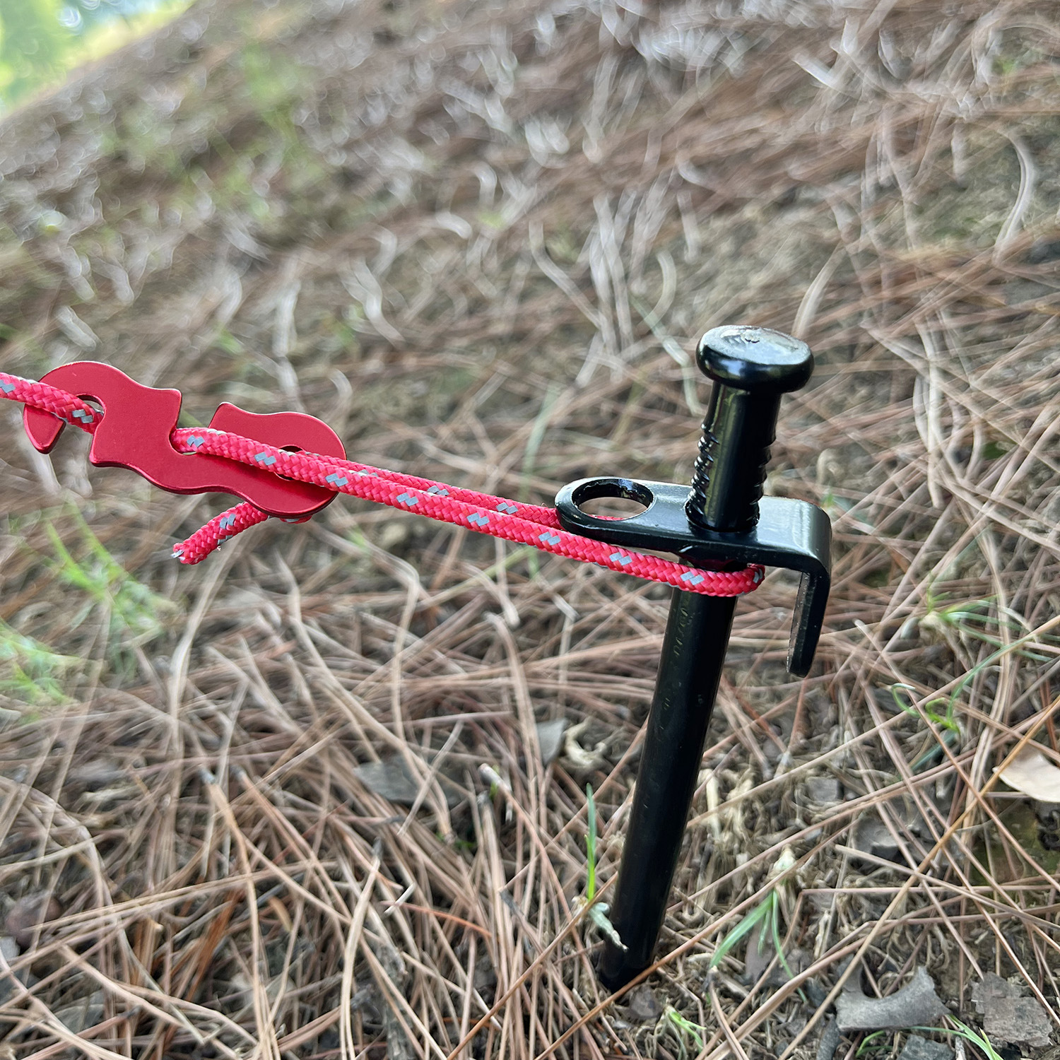 微信图片_20220906140129