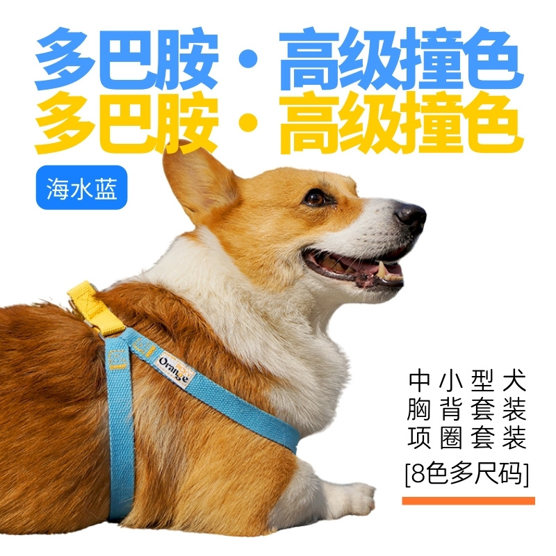 多巴胺撞色 (10).jpg