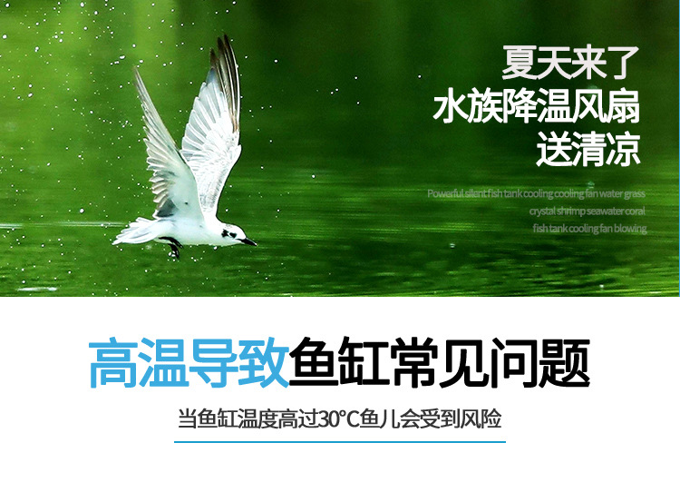详情图_2 拷贝.jpg