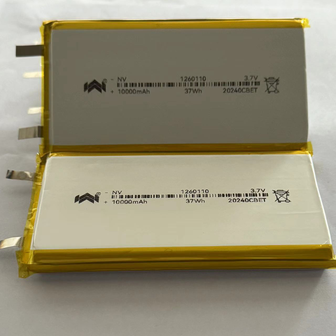 1260110-10000 (4).jpg