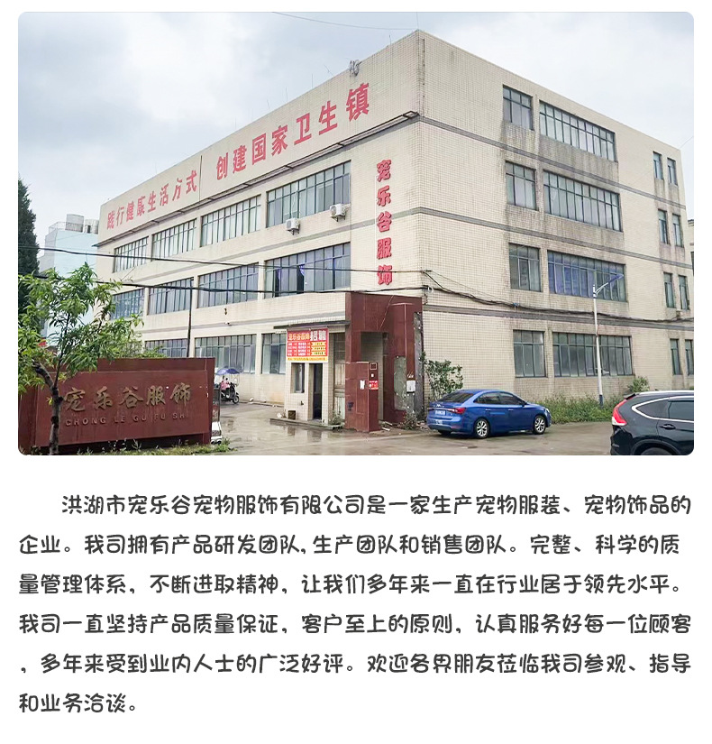 2022详情页