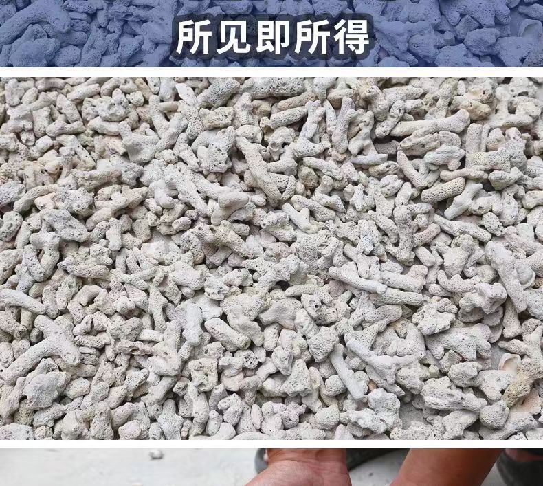 8e67fe1f-a14d-4fd8-ba33-132f956ef3cd.jpe