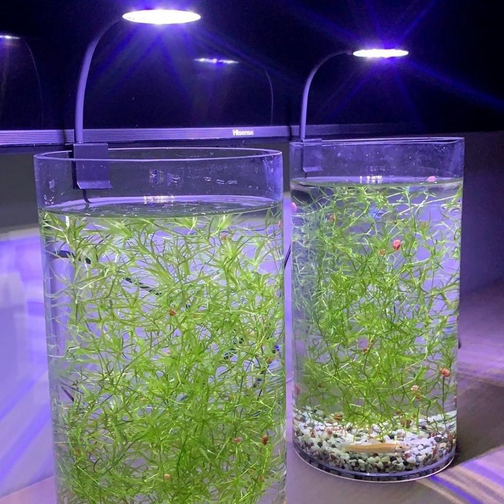 eece87cc-49c4-464d-a05d-cc4b4de36cfb.jpe