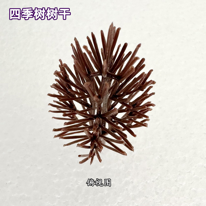 绿花带IMG_9302