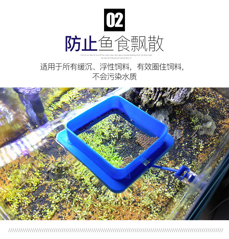 喂食圈详情修改---副本_03