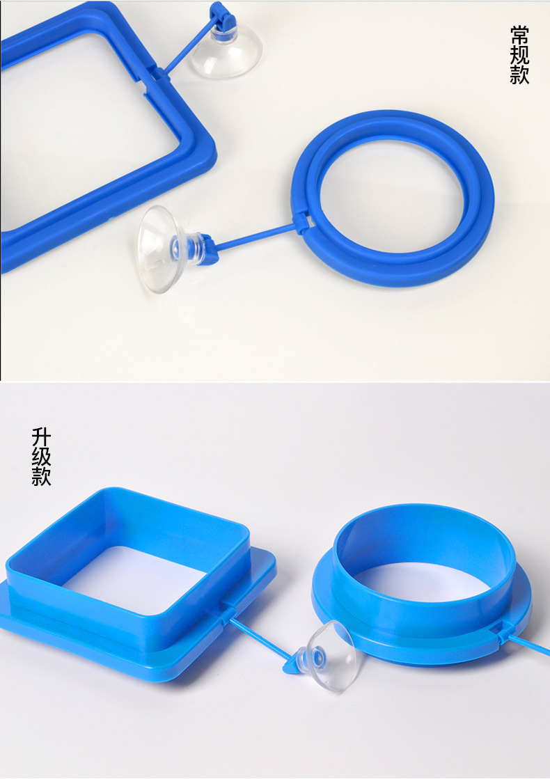 喂食圈详情修改---副本_10