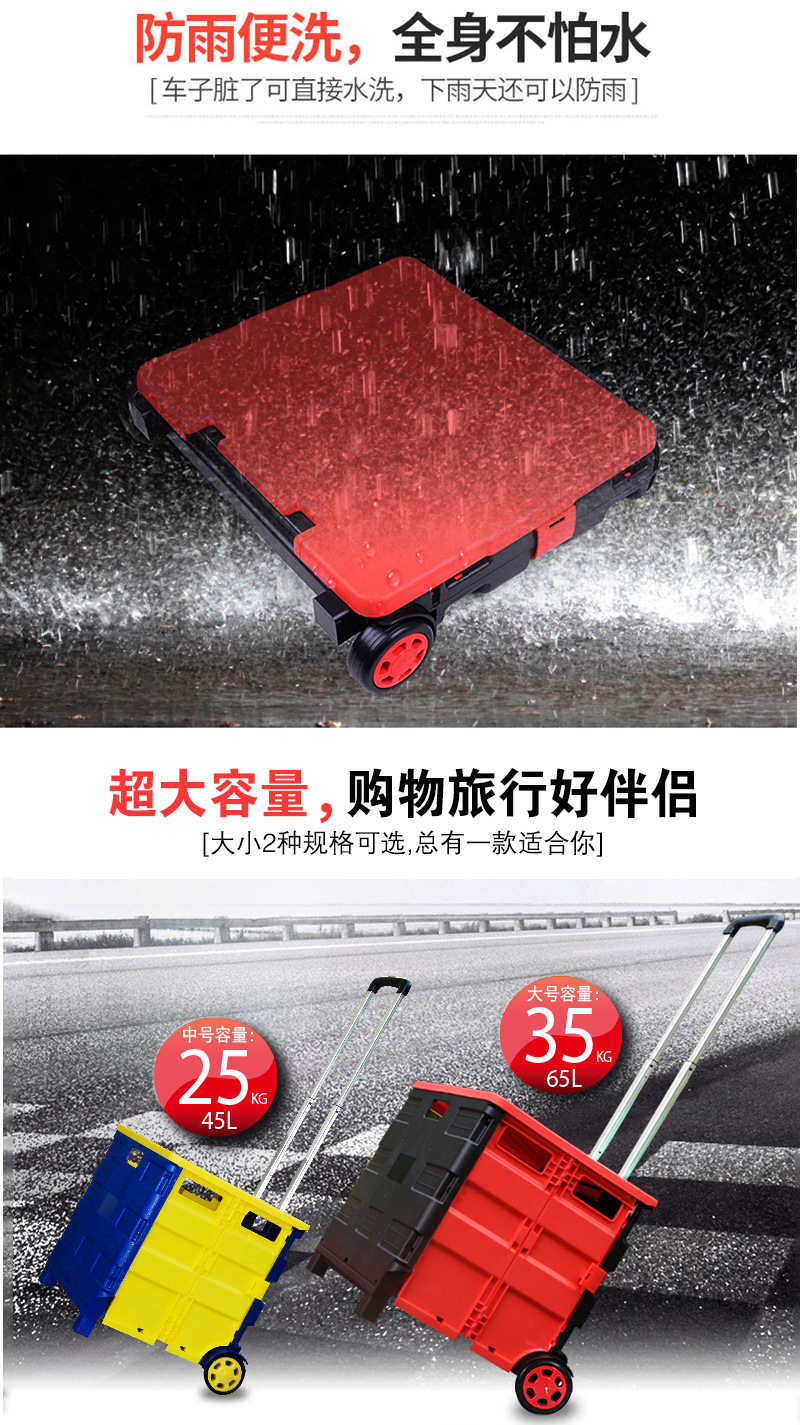 详情 (5)