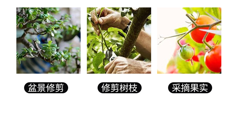 详情_03.jpg