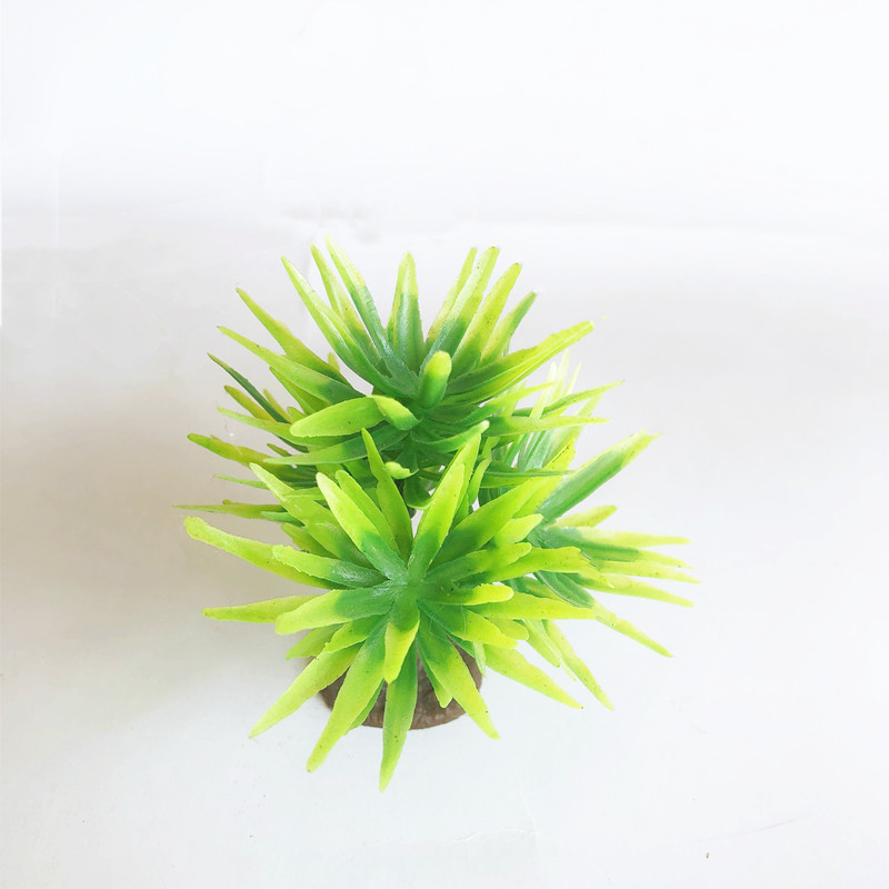 IMG_7476_副本 - 副本