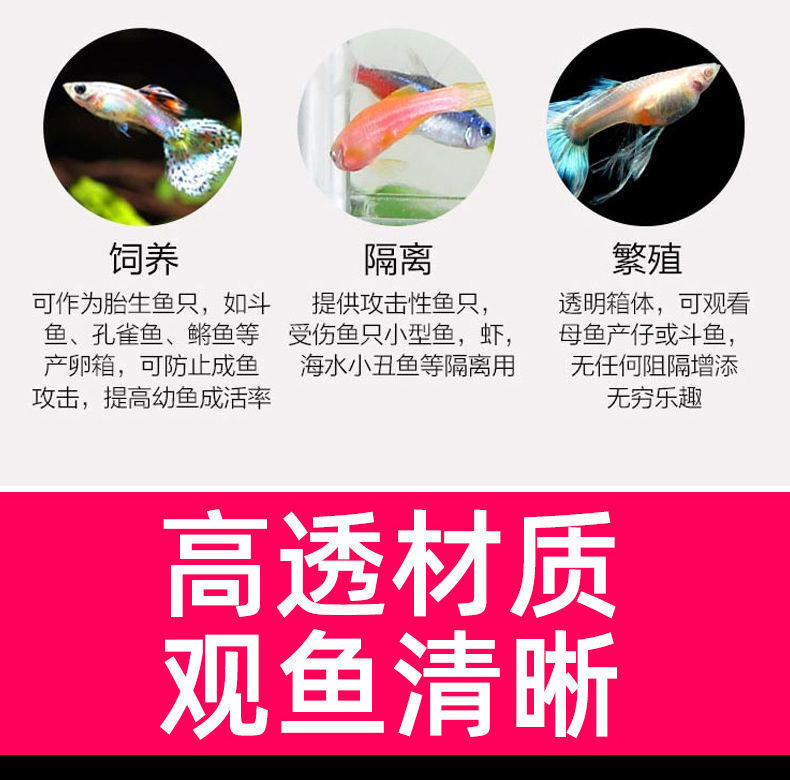 dca49d7a-6333-40c4-a127-55f62560f91f.jpe