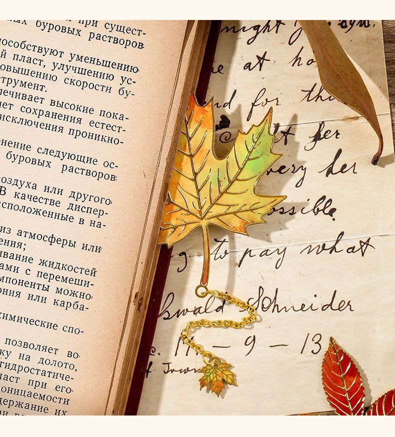 e208e733-9981-4432-a276-bebe6f9466ff.jpe