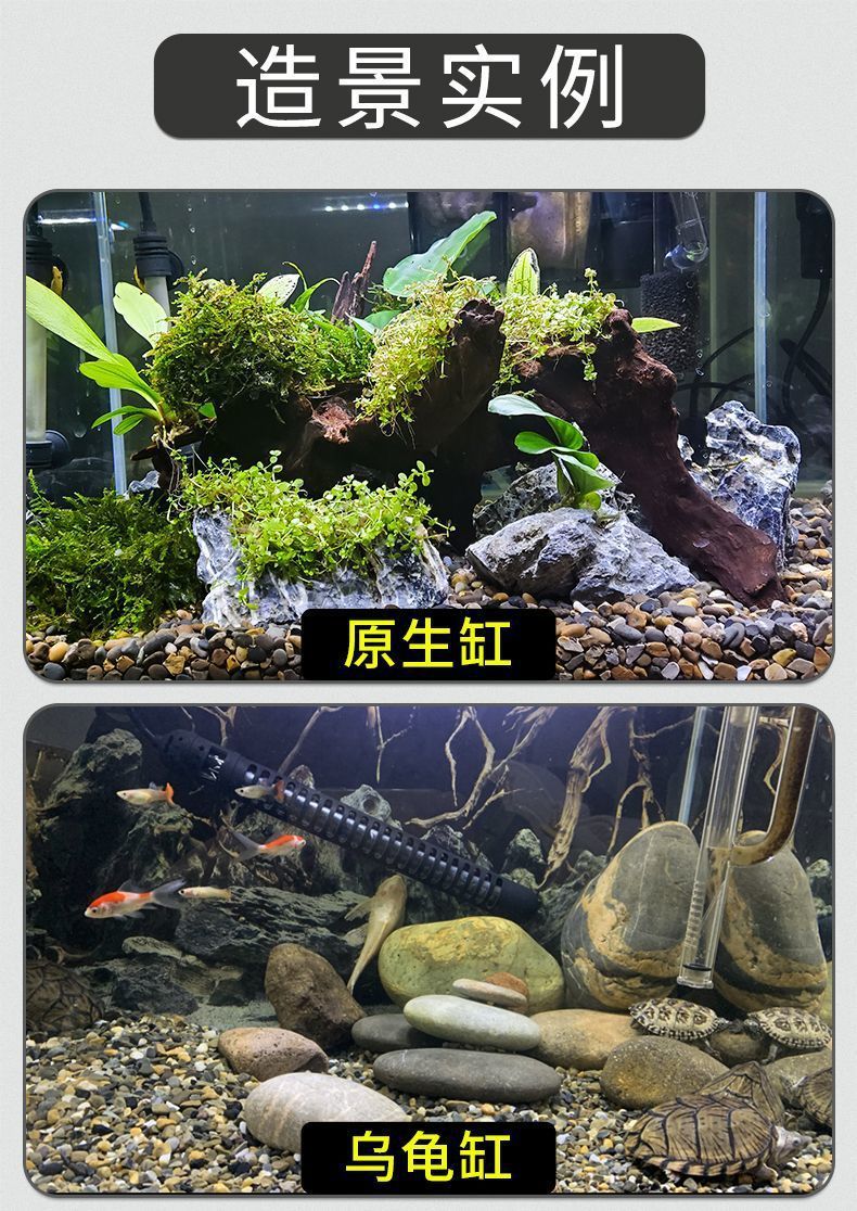 3ea87a76-6ddd-479c-91bd-944f30ef01c8.jpe