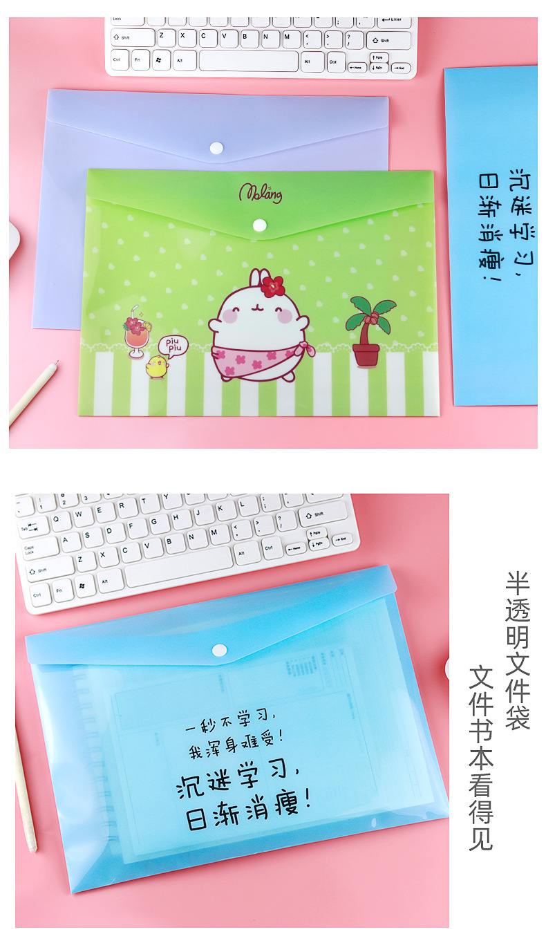 pvc纽扣文件袋_08.jpg