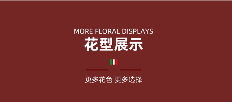 详情9..jpg?x-oss-process=image/format,png