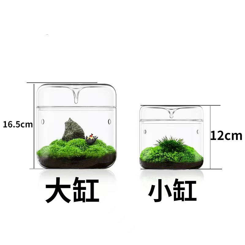 大小-微景观展现