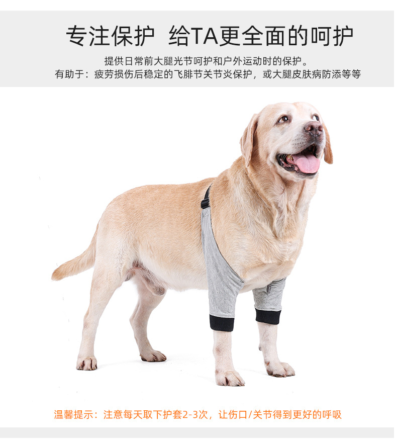 PD60100狗狗前腿保护_04.jpg