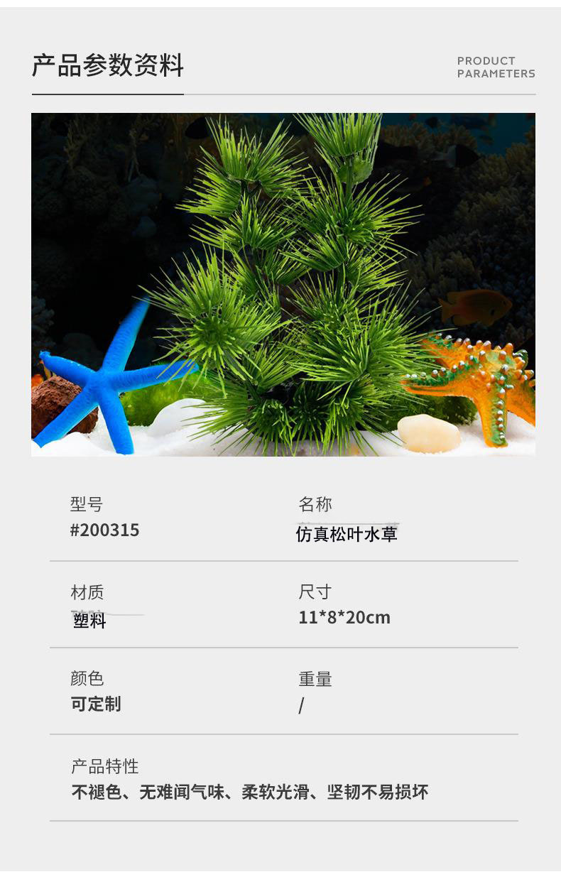 松叶草2.jpg