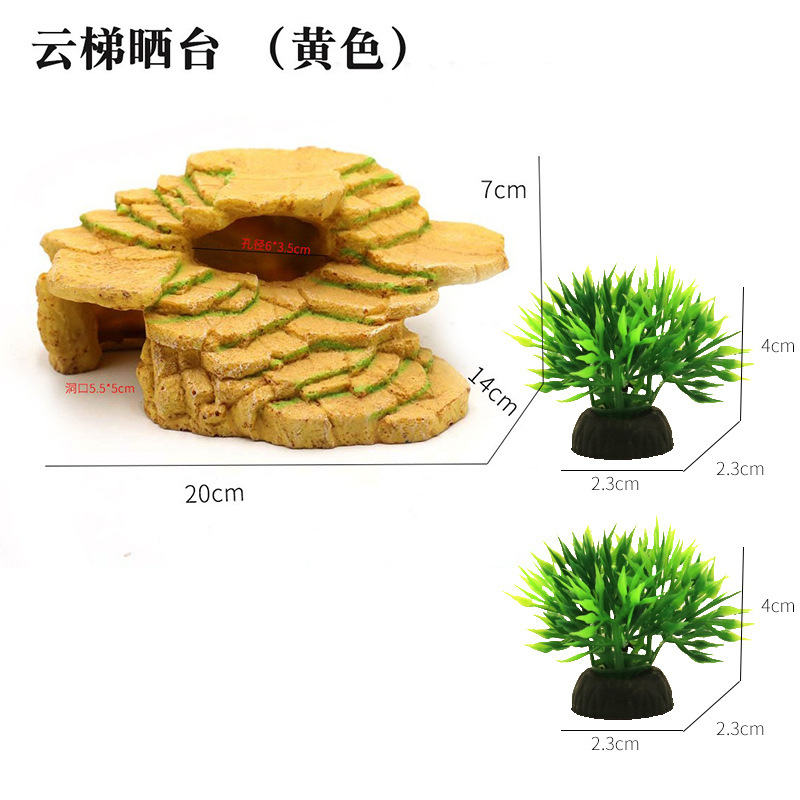 云梯晒台黄+小草堆