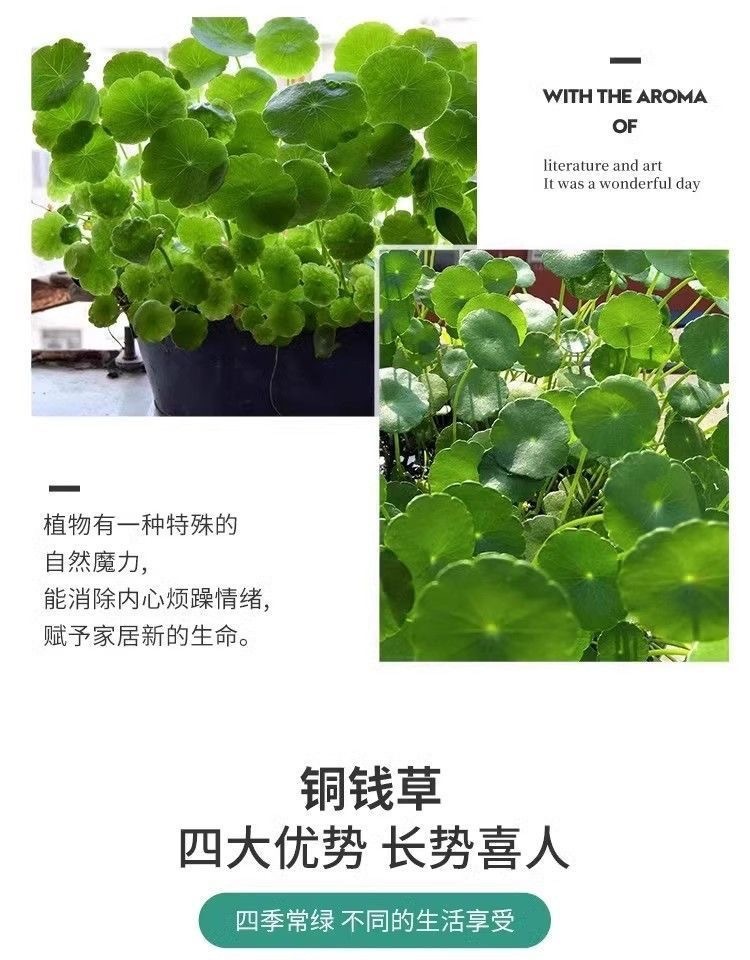 f0e12153-5d66-470f-97a1-8f3e13a467e3.jpe