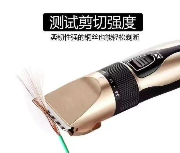 f9134c43-d69c-47a9-a0de-7dbf3a3547ce.jpe