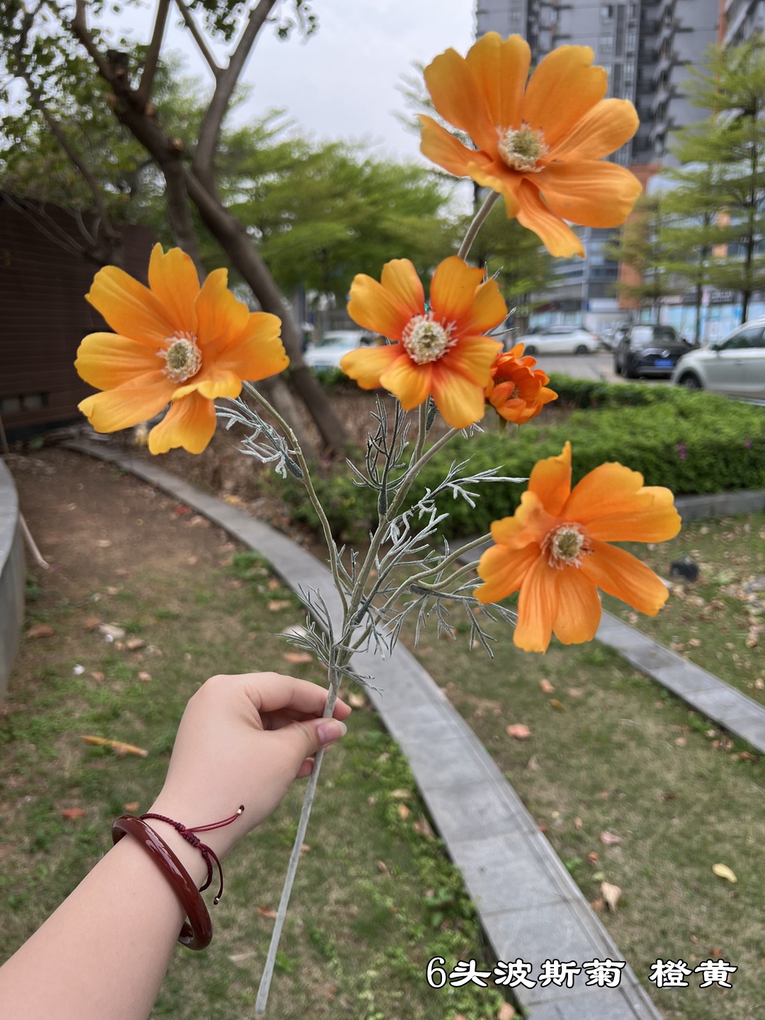 微信图片_20220618155013