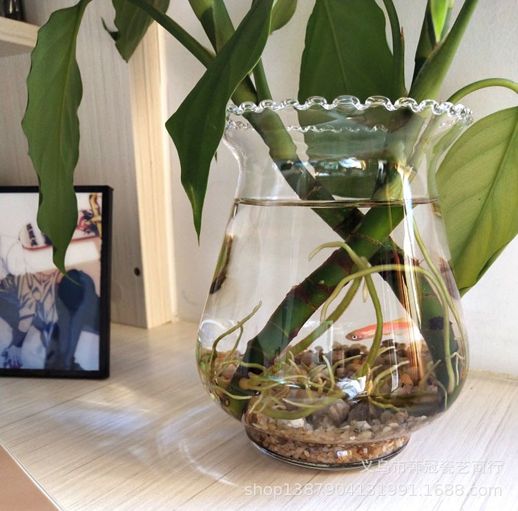 QQ图片20210830121932