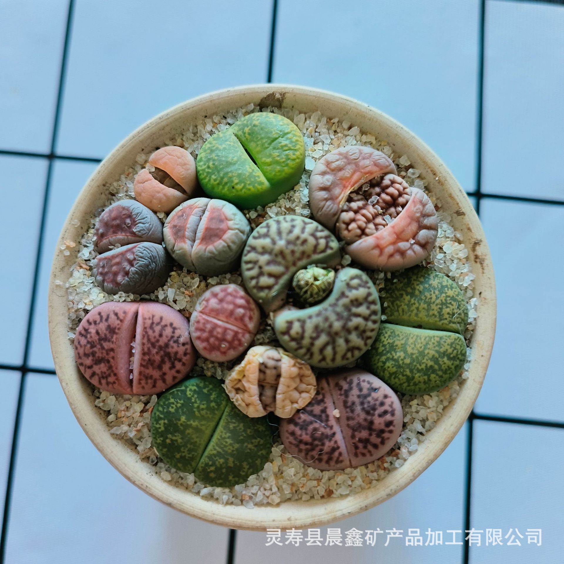 微信图片_202403121608026.jpg