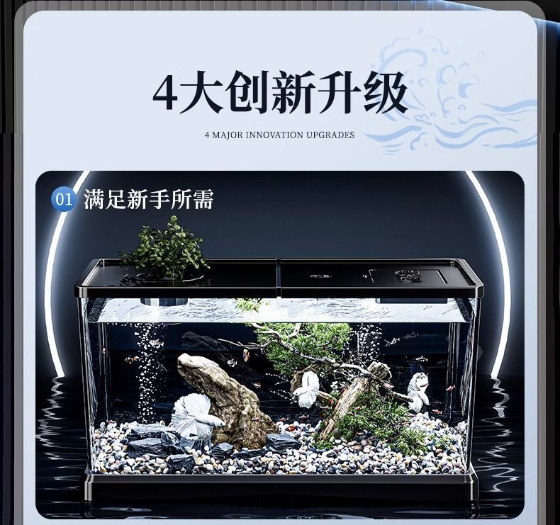 82e888b8-1eb7-4458-9aca-3a99f158157a.jpe