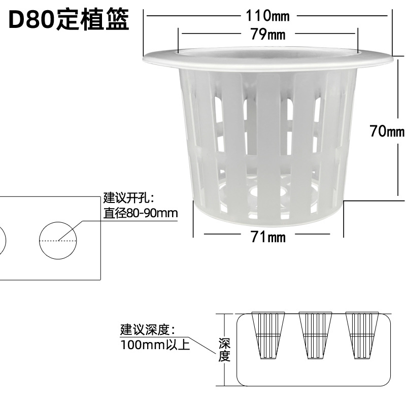 80孔定植篮主图1.jpg