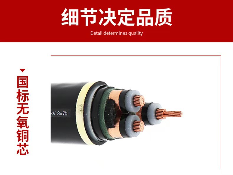 微信图片_20241105173319