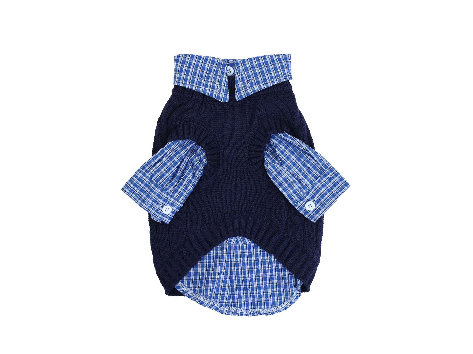 微信图片_20241118164028_副本_副本