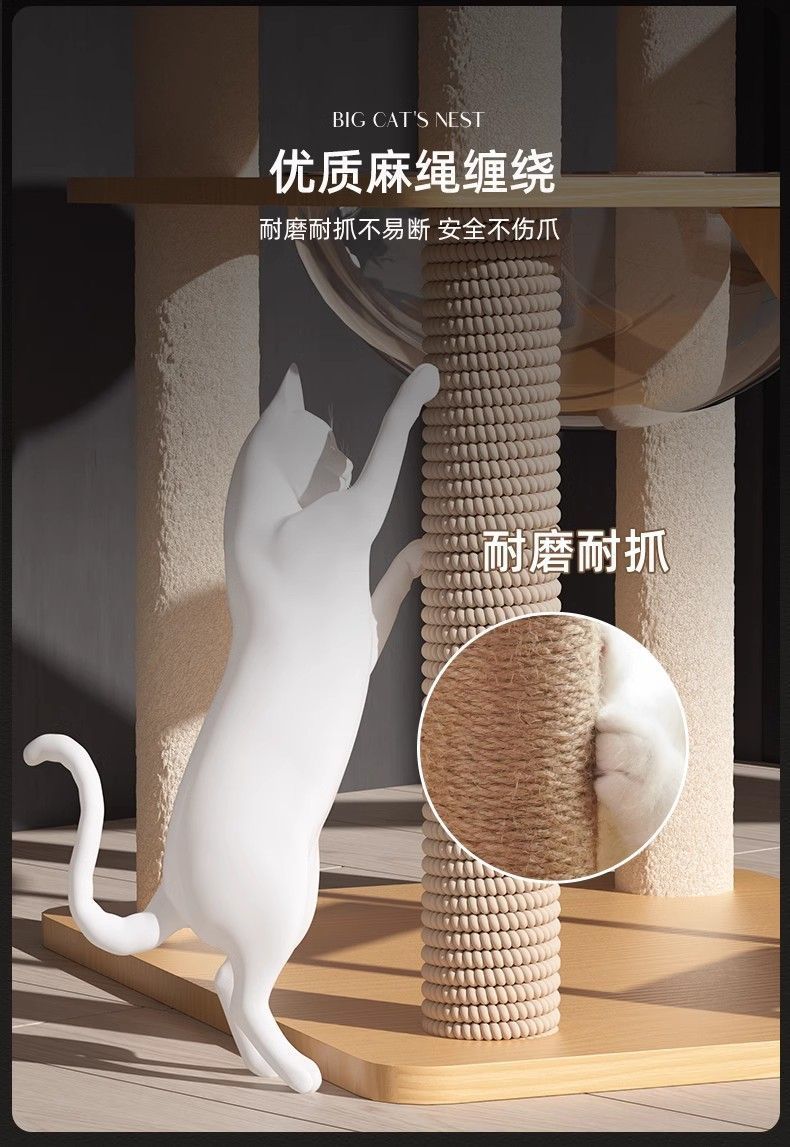 6d221d3a-561c-41f9-8369-e738e758b36e.jpe