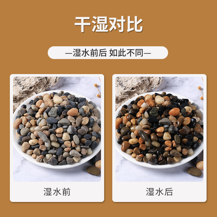 图片_07