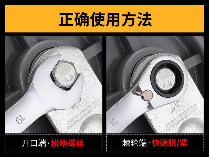 短哑棘轮_16.jpg