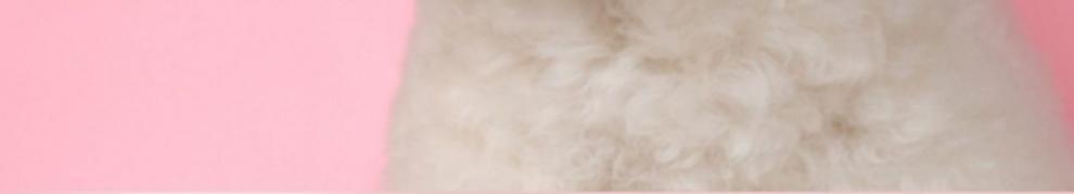 99214596-45be-4cd1-add0-983c8573d067.jpe