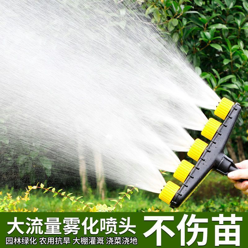4b770f43-99aa-4329-ae7f-c9613cb4380f.jpe