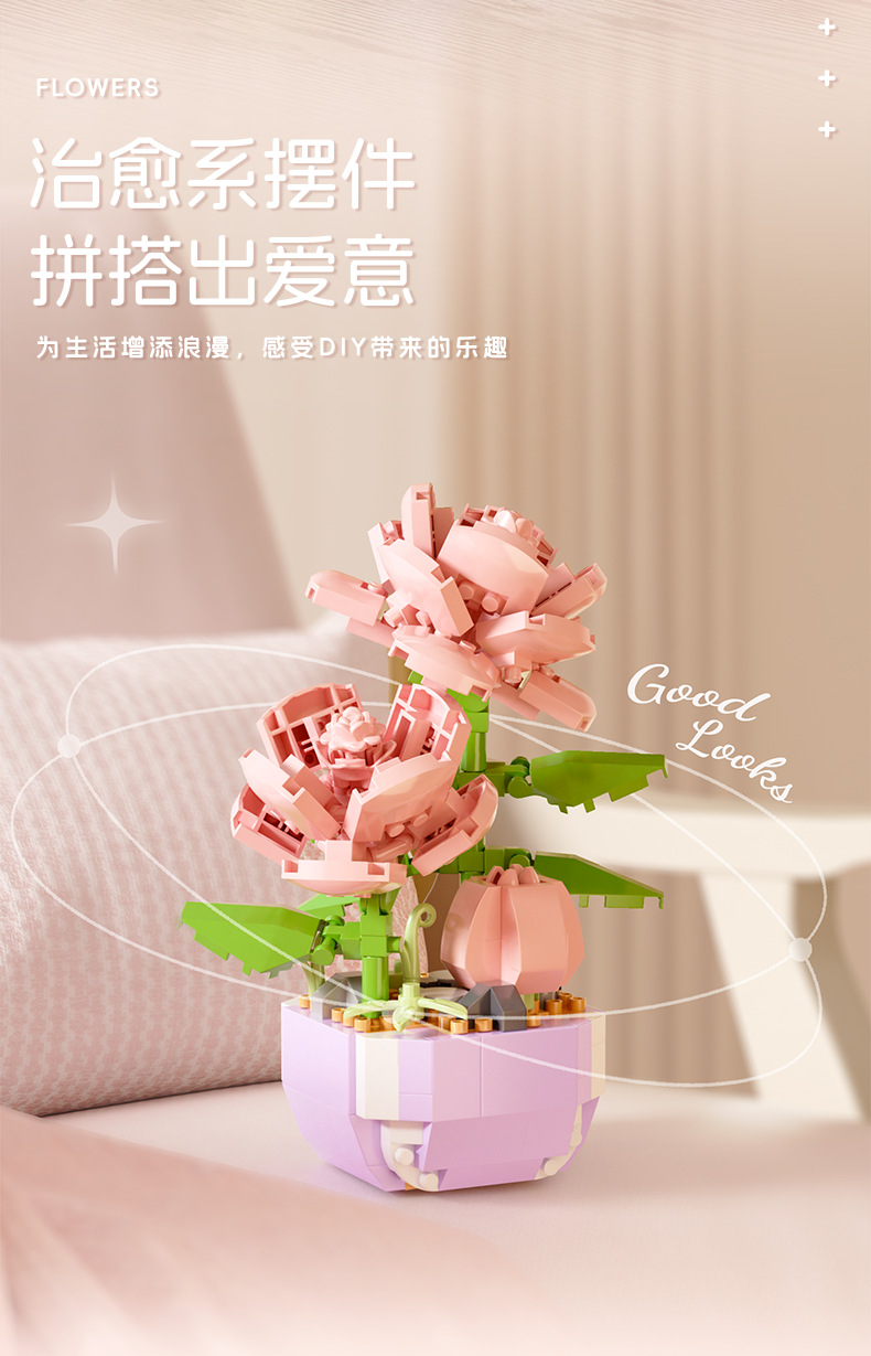 详情-植物盆栽_04.png