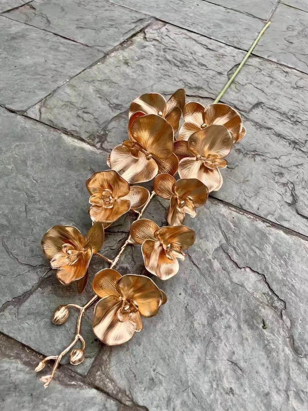 微信图片_20220123191903