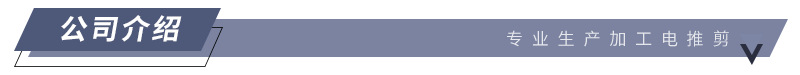 公司介绍