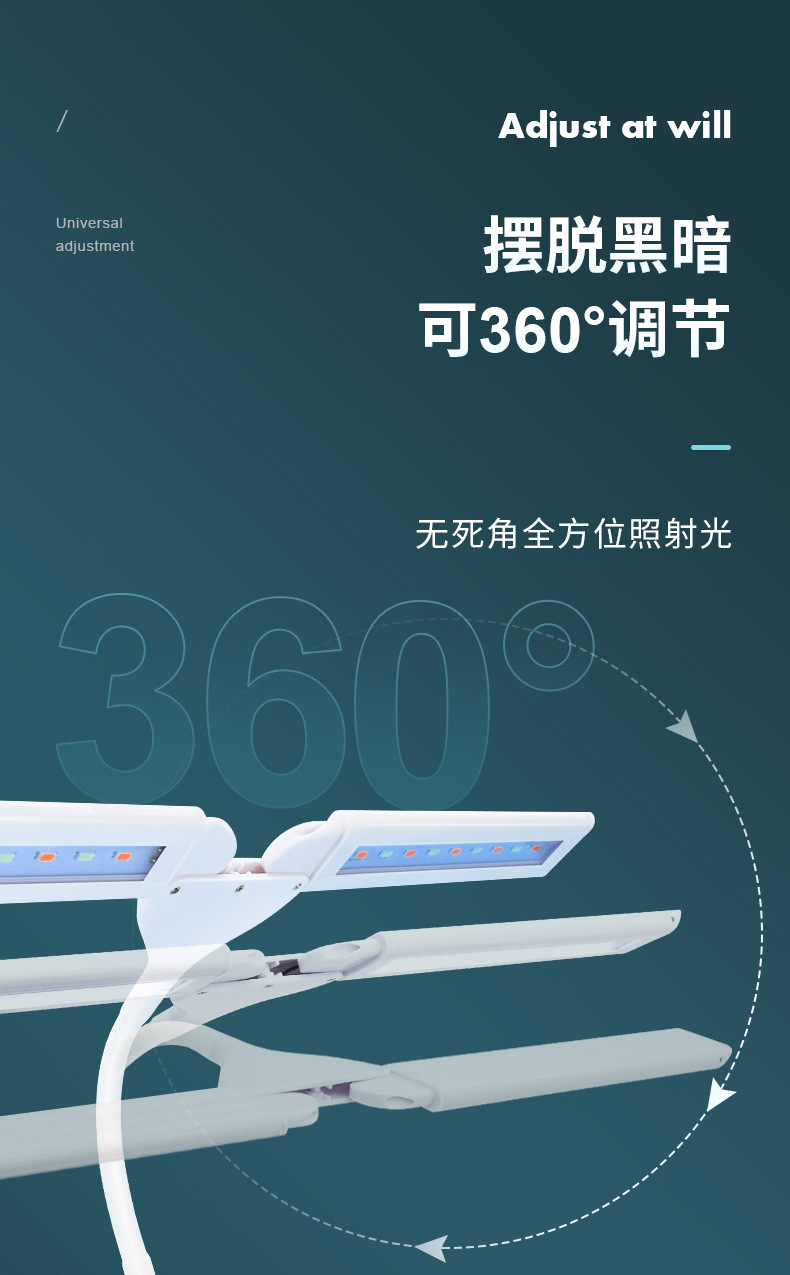 双叶水草_12.jpg