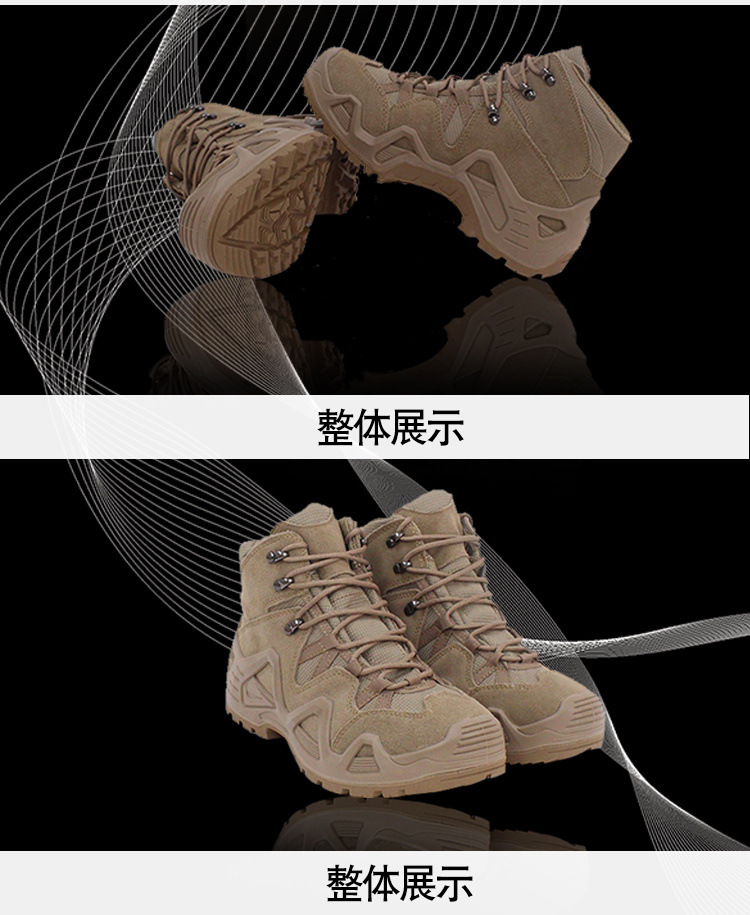 0b000be2-9cab-40e5-a492-8b912516573f.jpg