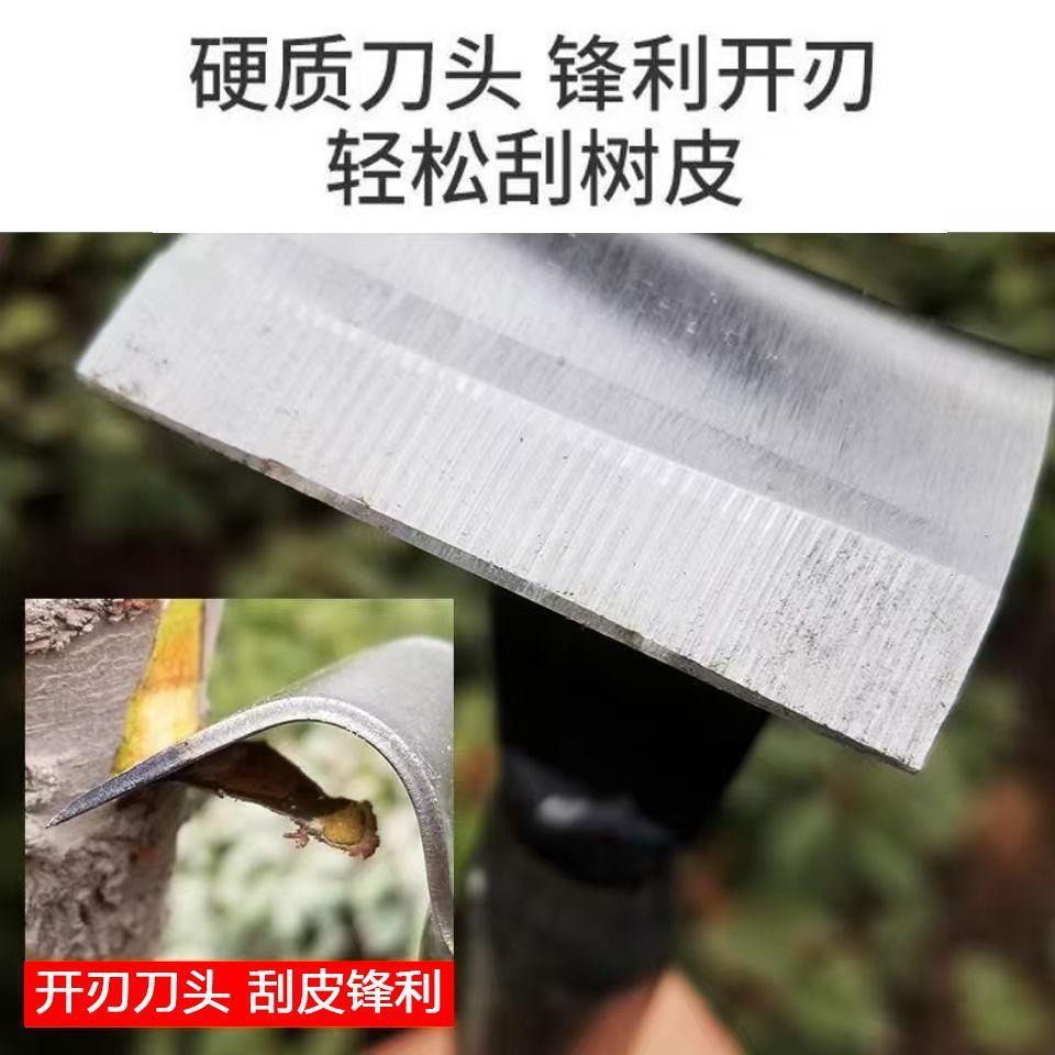 c5020686-b53d-42a3-b7ad-7c56df392435.jpe