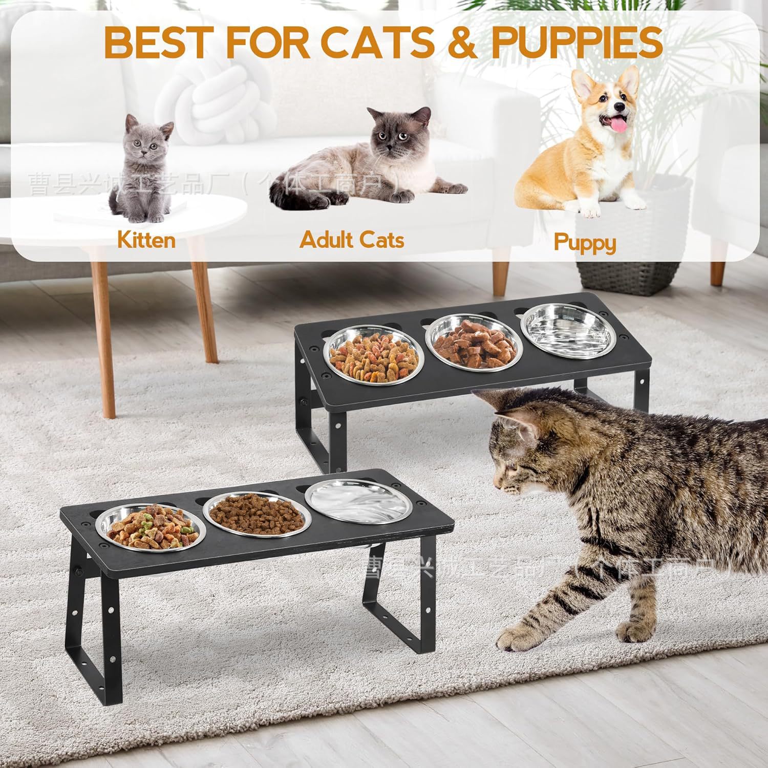 91xZod67+PL._AC_SL1500_