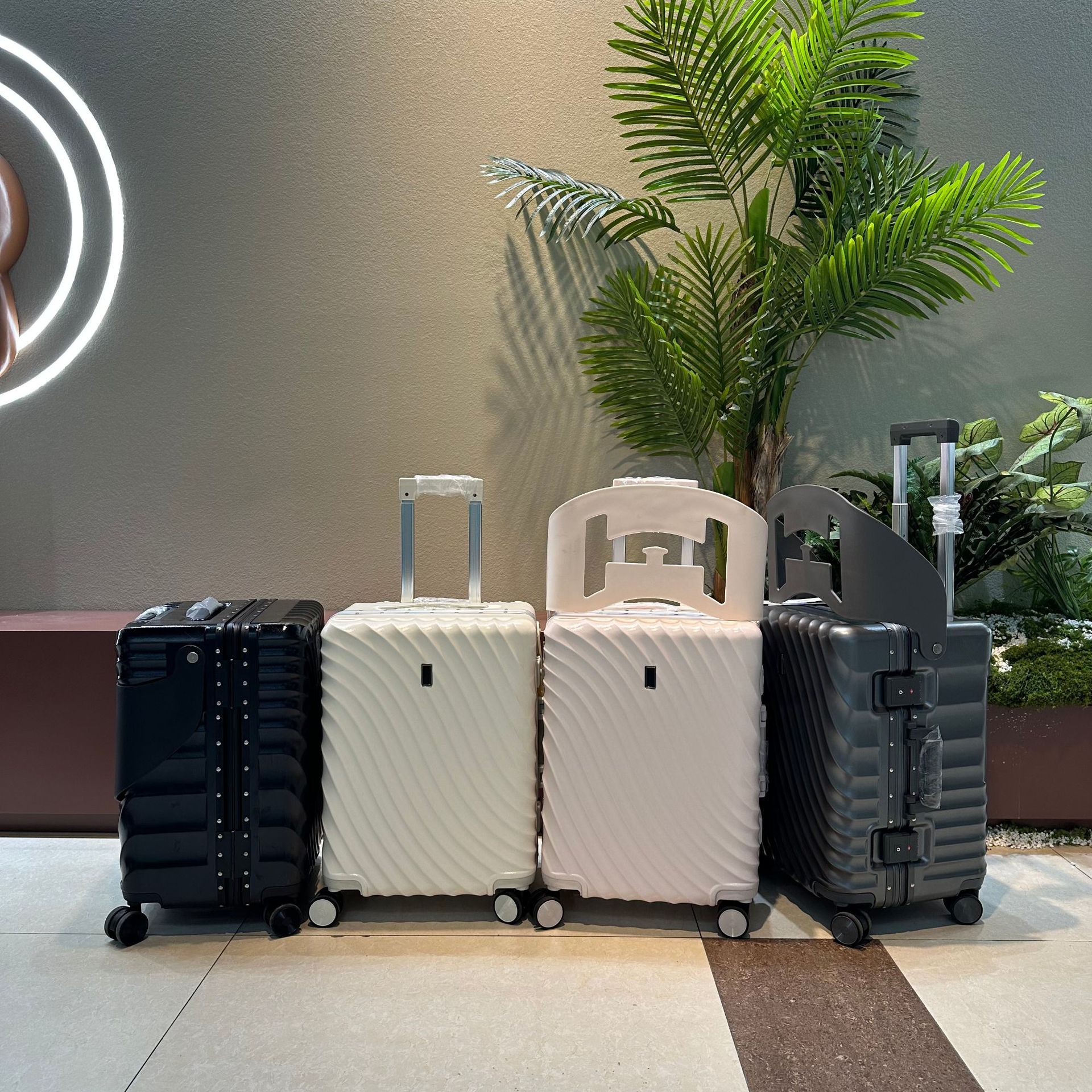 微信图片_20241229152804